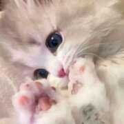 ヒメ日記 2026/05/31 17:37 投稿 あかね【店推し特待生】 もえたく