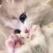 ヒメ日記 2026/06/07 18:17 投稿 あかね【店推し特待生】 もえたく