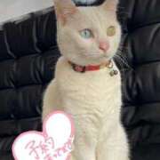 ヒメ日記 2025/10/08 23:41 投稿 つばさ 天空のマット