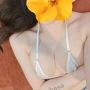 ヒメ日記 2026/02/10 08:31 投稿 つばさ 天空のマット