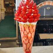 ヒメ日記 2026/02/19 12:23 投稿 つばさ 天空のマット