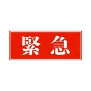 ヒメ日記 2026/03/11 14:14 投稿 つばさ 天空のマット