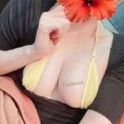 ヒメ日記 2026/03/13 09:51 投稿 つばさ 天空のマット