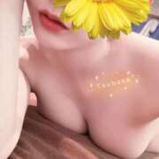 ヒメ日記 2026/04/21 10:21 投稿 つばさ 天空のマット