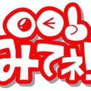 ヒメ日記 2026/04/25 12:22 投稿 つばさ 天空のマット