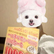 ヒメ日記 2026/02/01 18:10 投稿 ことね PLATINA