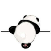 ヒメ日記 2026/02/07 09:30 投稿 ことね PLATINA