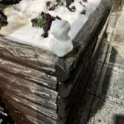 ヒメ日記 2026/02/21 09:37 投稿 ことね PLATINA