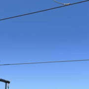 ヒメ日記 2026/03/06 11:16 投稿 ことね PLATINA