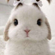 ヒメ日記 2026/03/25 17:49 投稿 ことね PLATINA