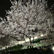 ヒメ日記 2026/03/28 02:00 投稿 ことね PLATINA