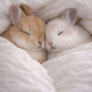 ことね お返事♡ PLATINA