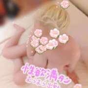 ヒメ日記 2025/11/13 12:04 投稿 万里亜-まりあ【FG系列】 ほんとうの人妻 横浜本店