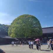 さなえ 感謝です🍀 熟女の風俗最終章 池袋店
