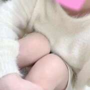 ヒメ日記 2026/01/19 19:24 投稿 もか ごほうびSPA五反田店