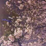 ヒメ日記 2026/03/29 13:50 投稿 もか ごほうびSPA五反田店