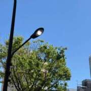 ヒメ日記 2026/04/08 18:10 投稿 もか ごほうびSPA五反田店