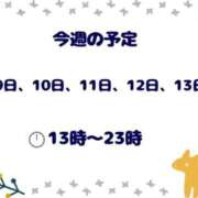 ヒメ日記 2025/12/08 12:26 投稿 【新人】ななみ 神奈川小田原ちゃんこ