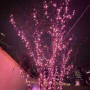 ヒメ日記 2025/12/25 20:22 投稿 やゆ ミルクハート（ユメオト）