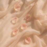 ヒメ日記 2026/03/05 21:14 投稿 やゆ ミルクハート（ユメオト）