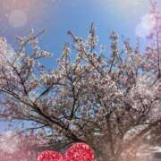 ヒメ日記 2026/04/09 12:23 投稿 れん 人妻の秘密成田店