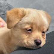 ヒメ日記 2025/10/09 17:53 投稿 ももか とある風俗店♡やりすぎさーくる新宿大久保店♡で色んな無料オプションしてみました