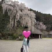 ヒメ日記 2026/04/01 23:32 投稿 月影せれな 麗しいマダム