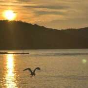 月影せれな ※無題 麗しいマダム