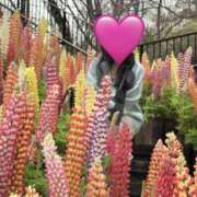 ヒメ日記 2026/03/30 21:47 投稿 月影せれな 美魔女エステ