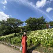 月影せれな 紫陽花 色気あるワイフ