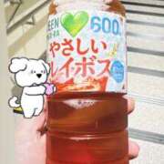 ヒメ日記 2026/04/29 23:05 投稿 川原ゆあ ワイフコレクション