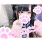 ヒメ日記 2026/01/11 00:56 投稿 ひな 秋葉原コスプレ学園(AKG)