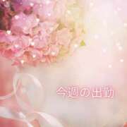 まな☆新人2000円OFF 今週の出勤🌻 AROMA LUXE PLATINUM 宮崎