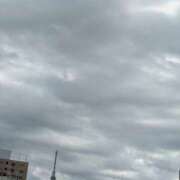 周防せり ※無題 麗しいマダム