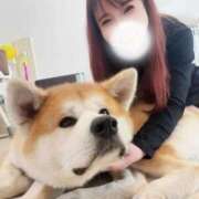 ヒメ日記 2026/02/22 15:26 投稿 みさ ラブ・アンド・ラブ