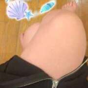 ヒメ日記 2025/12/05 02:32 投稿 めりー 横浜・関内サンキュー