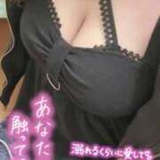 ヒメ日記 2025/12/14 19:42 投稿 めりー 横浜・関内サンキュー