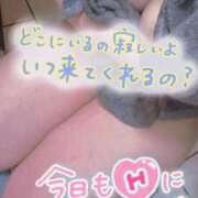 めりー しゅっ 横浜・関内サンキュー