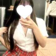 ヒメ日記 2025/12/23 09:33 投稿 さら アラカルト