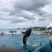 ヒメ日記 2025/11/12 15:39 投稿 花音(かのん) チューリップ宇都宮店