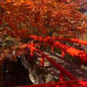 ヒメ日記 2025/11/24 08:39 投稿 花音(かのん) チューリップ宇都宮店