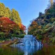 ヒメ日記 2025/11/24 22:46 投稿 花音(かのん) チューリップ宇都宮店