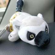 ヒメ日記 2025/10/20 09:21 投稿 あおい クラブA