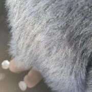 ヒメ日記 2025/10/27 12:33 投稿 あおい クラブA