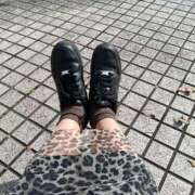 ヒメ日記 2025/11/02 12:48 投稿 あおい クラブA