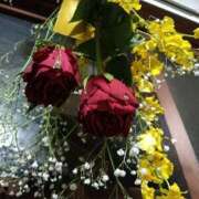 ヒメ日記 2025/11/04 01:18 投稿 あおい クラブA