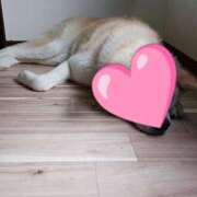 ヒメ日記 2025/11/12 10:33 投稿 あおい クラブA