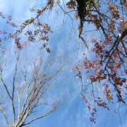 ヒメ日記 2025/11/23 13:42 投稿 あおい クラブA