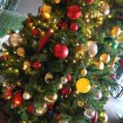 ヒメ日記 2025/12/24 09:33 投稿 あおい クラブA