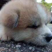 ヒメ日記 2026/01/13 18:48 投稿 あおい クラブA